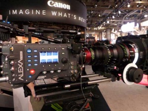 P1000138.jpg P1000138.jpg