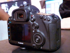 P1000148.jpg P1000148.jpg