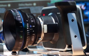 P1000320.jpg P1000320.jpg