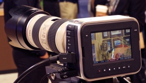 P1000330.jpg P1000330.jpg