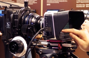 P1000331.jpg P1000331.jpg