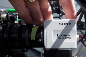 P1000235.jpg P1000235.jpg